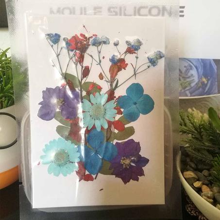 MRC-025      Fleurs séchées 1