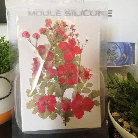 MRC-026      Fleurs séchées 2