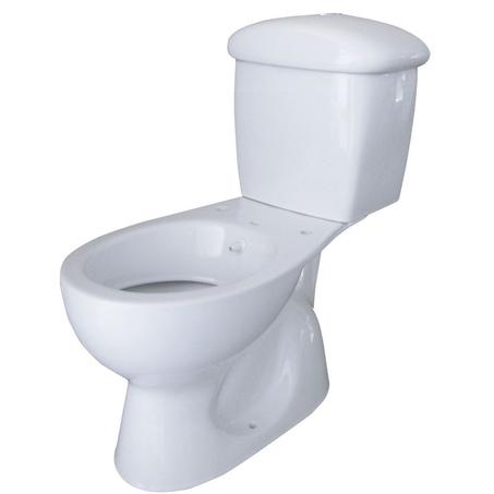 طواليط رومية