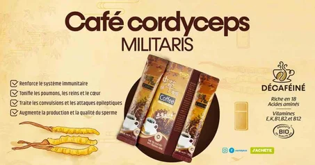 CAFE CORDYCEPS MILITARIS LONGRICH