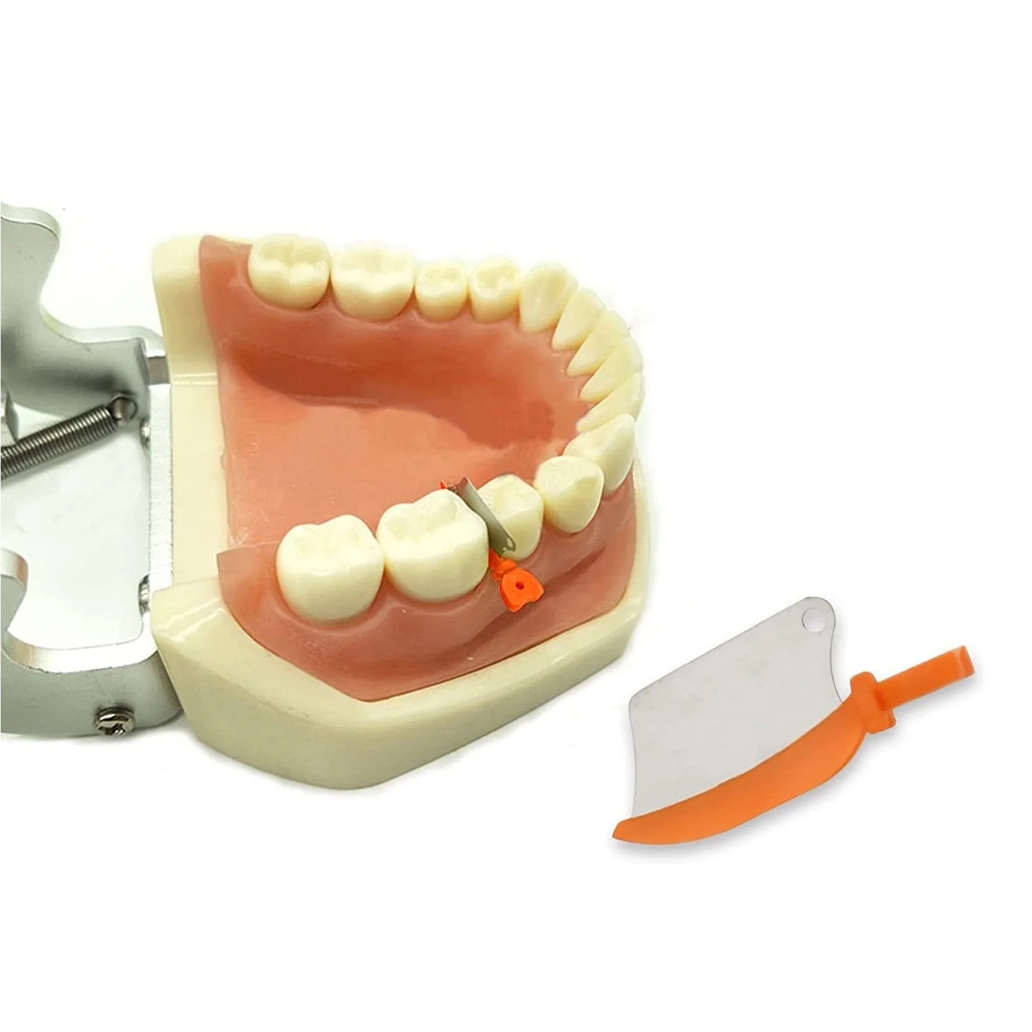 Dental Wedge