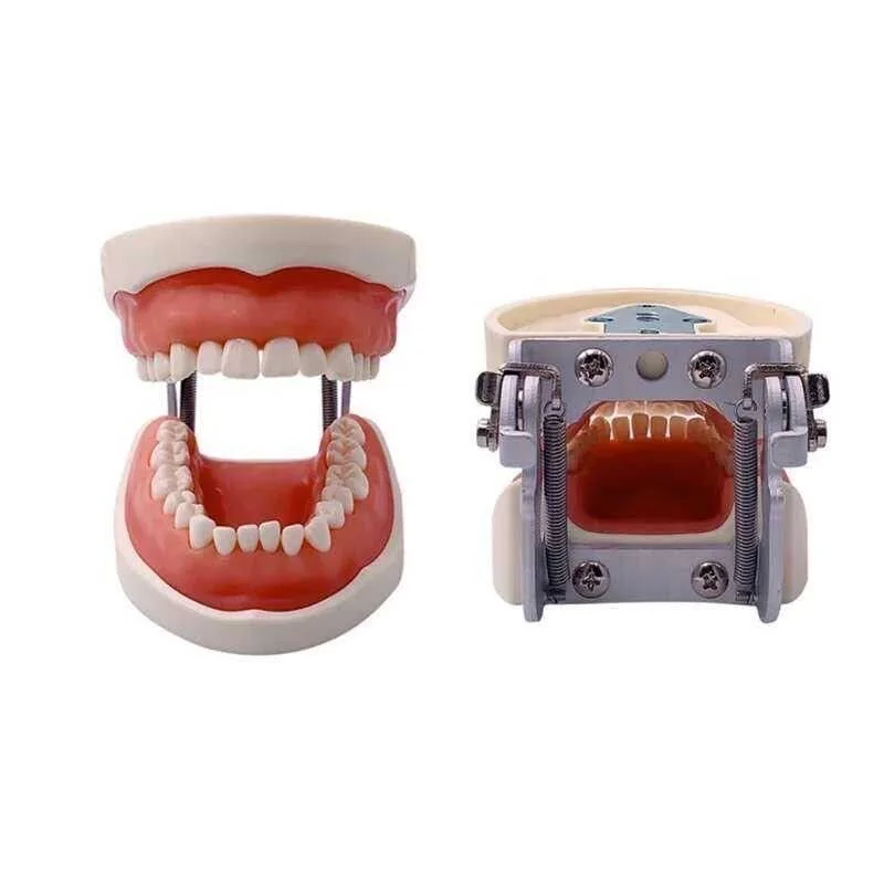 minikan 32 teeth