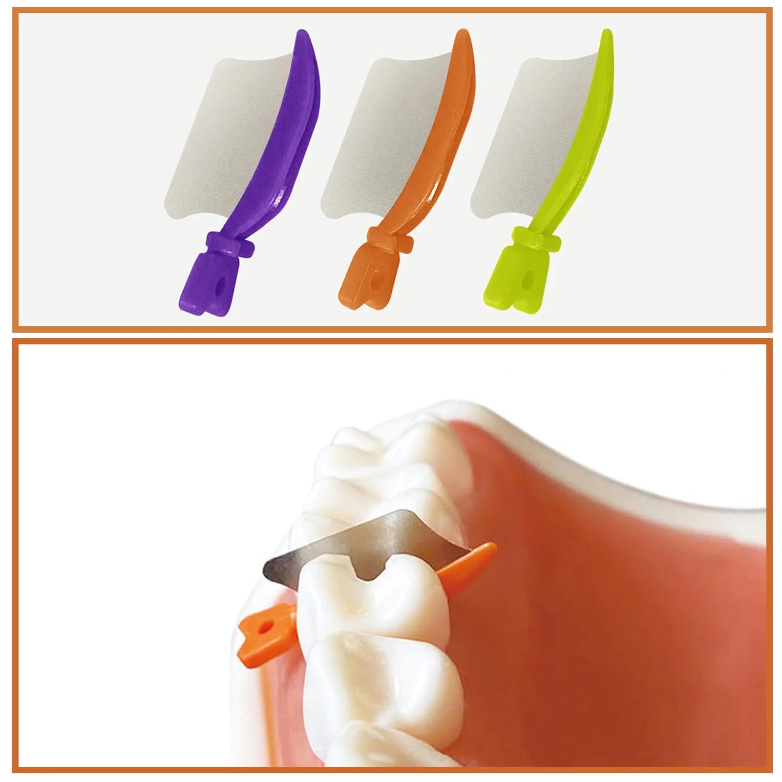 Dental Wedge