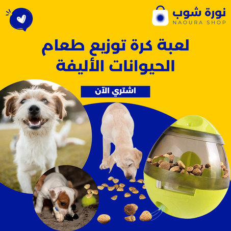 لعبة كرة توزيع طعام الحيوانات الأليفة