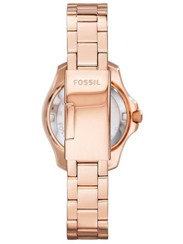 Fossil - Cecile