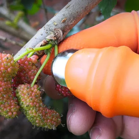 أداة   جني و قطف   الفواكه و الخضر