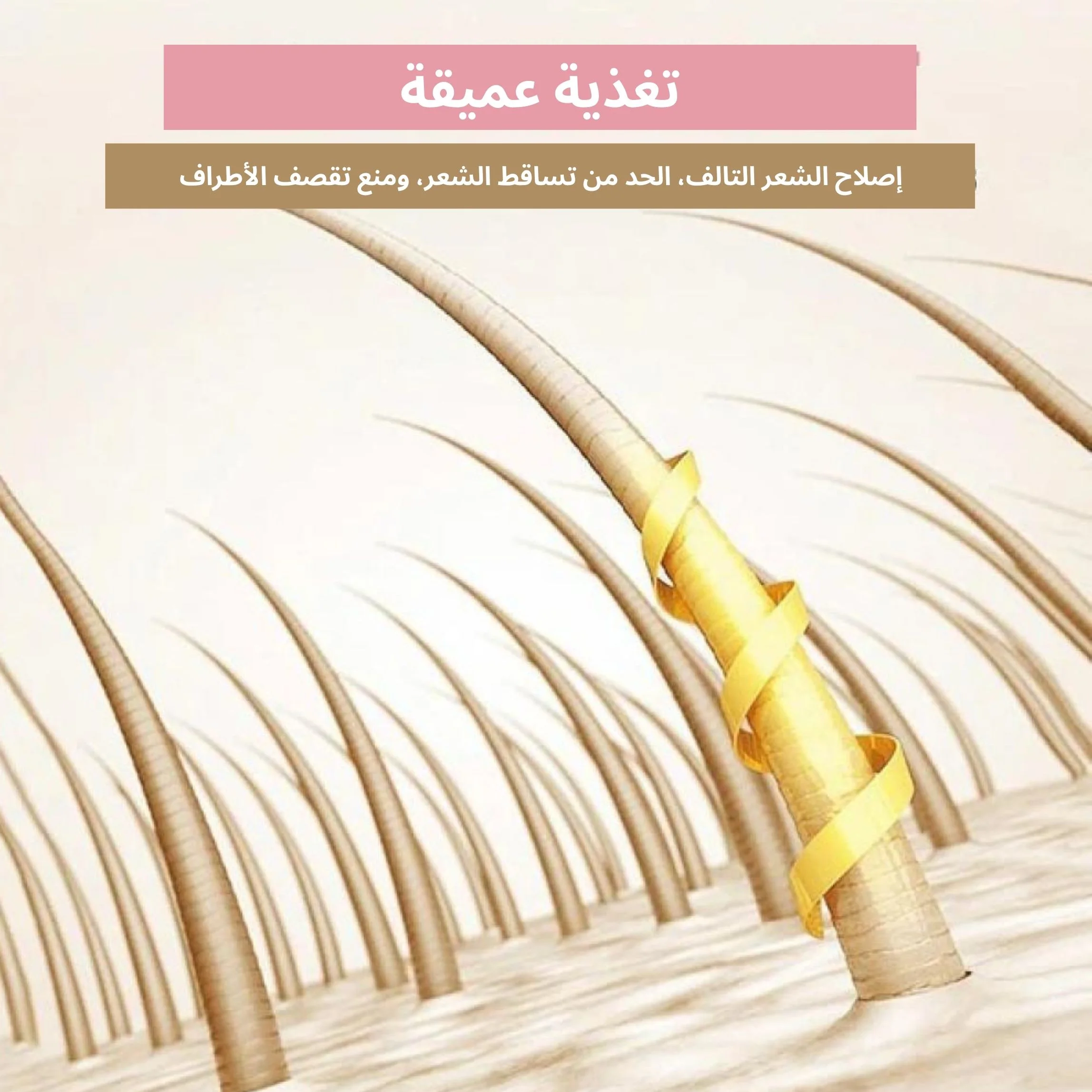 شامبو ساكورا لنمو الشعر