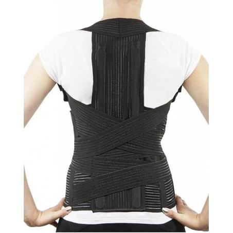 Ceinture - Dorso - Lombaire