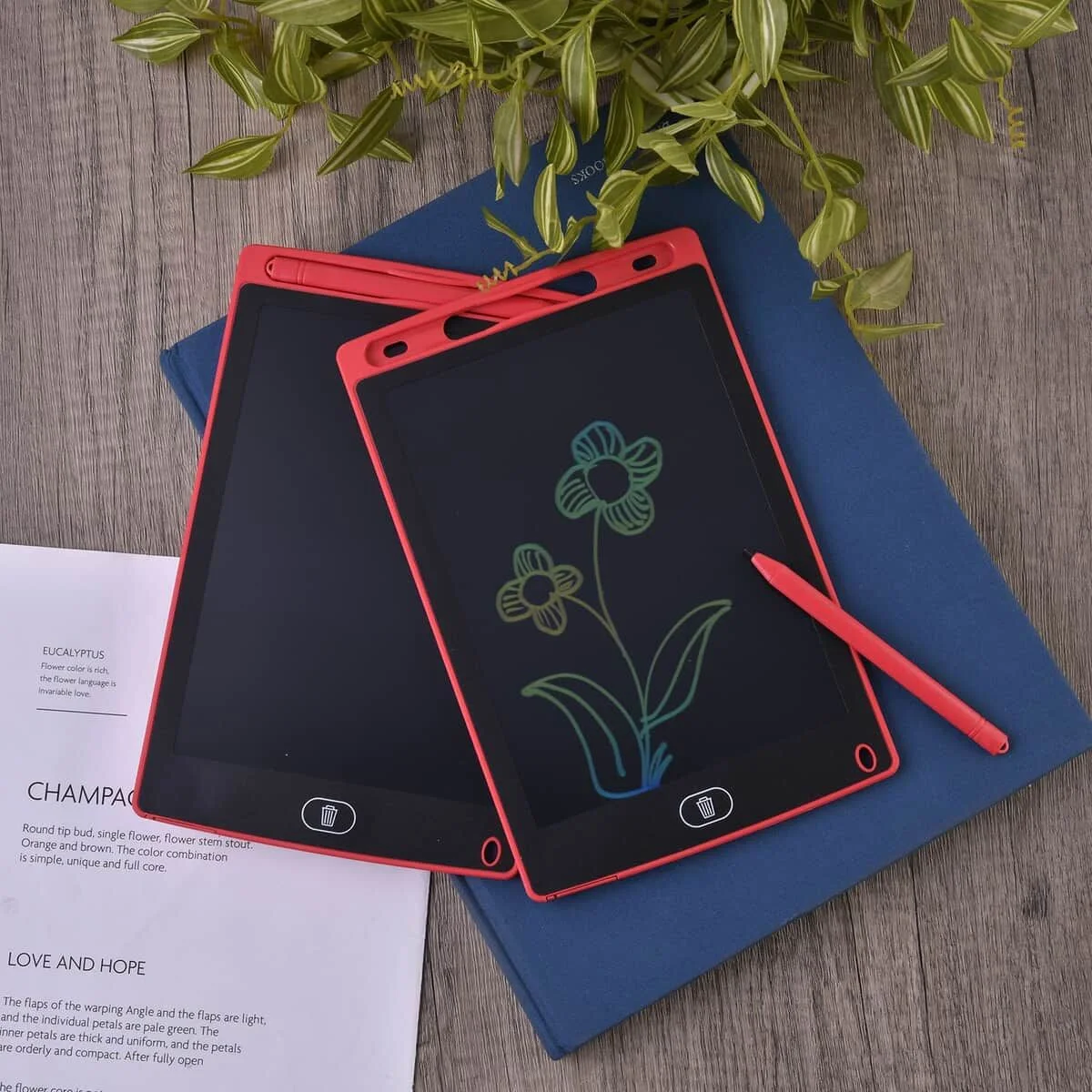 لوحة LCD للكتابة والرسم