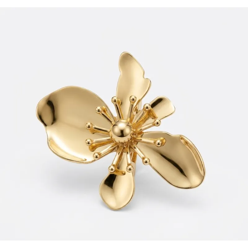 Broche Eclat