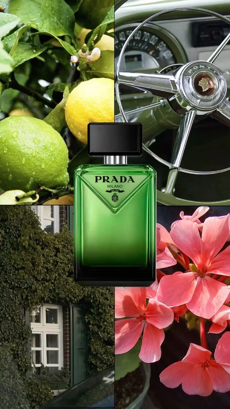 prada paradigme 10 ml