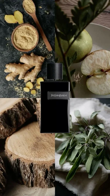 Y le parfum 10 ml