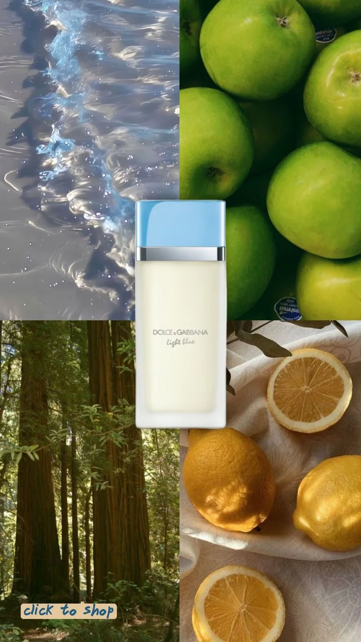 تسيور اصلي كامل ✨