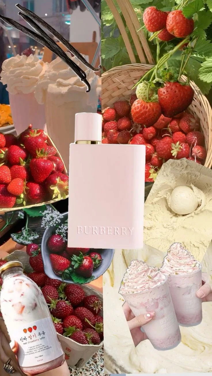 تسيور اصلي كامل ✨