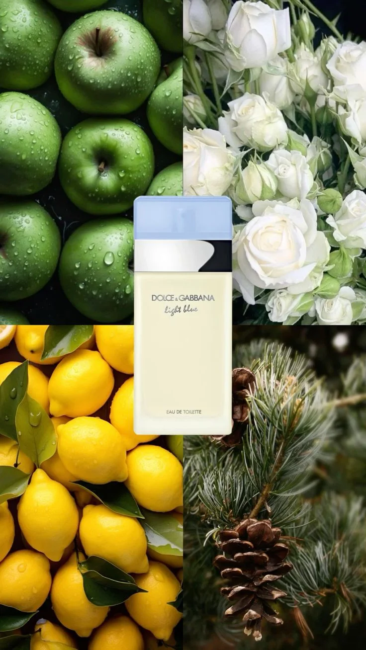 Dolce and gabbana 10 ml
