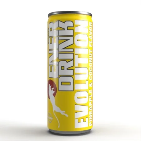 Pineapple & Coconut drink evolution 250ml