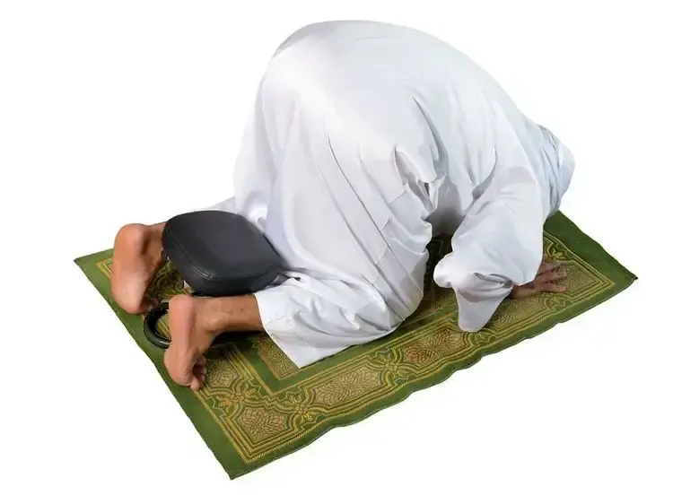 مقعد للجلوس والانحناء لدعم الركبتين