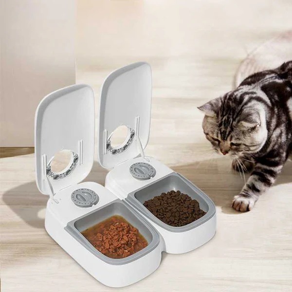 وحدة تغذية القطط الأوتوماتيكية باللون الرمادي