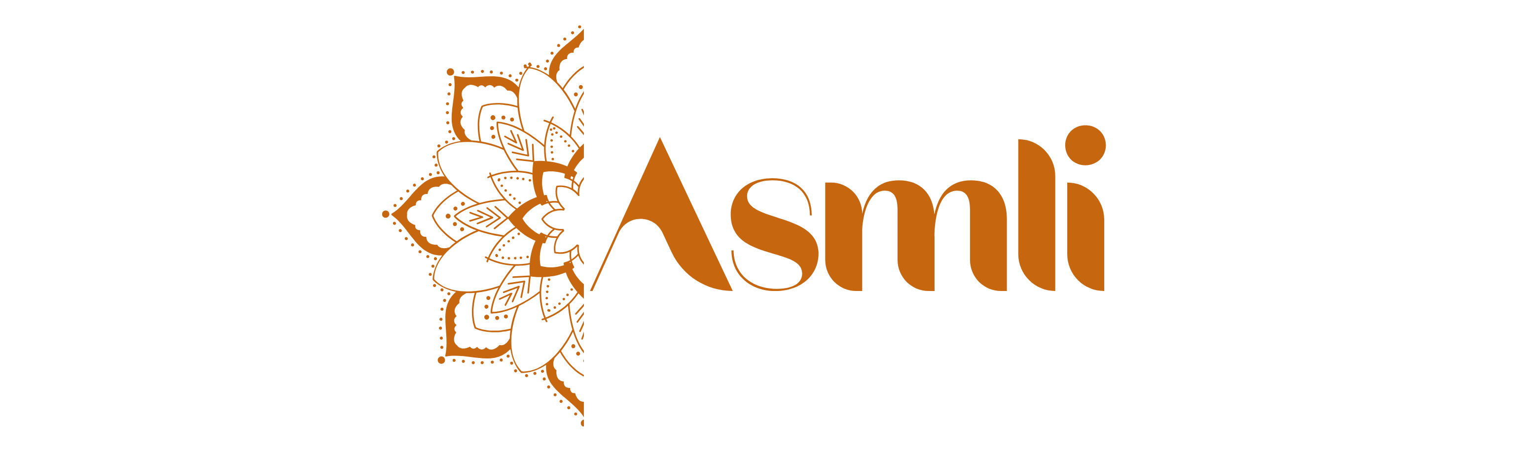 Asmlishop