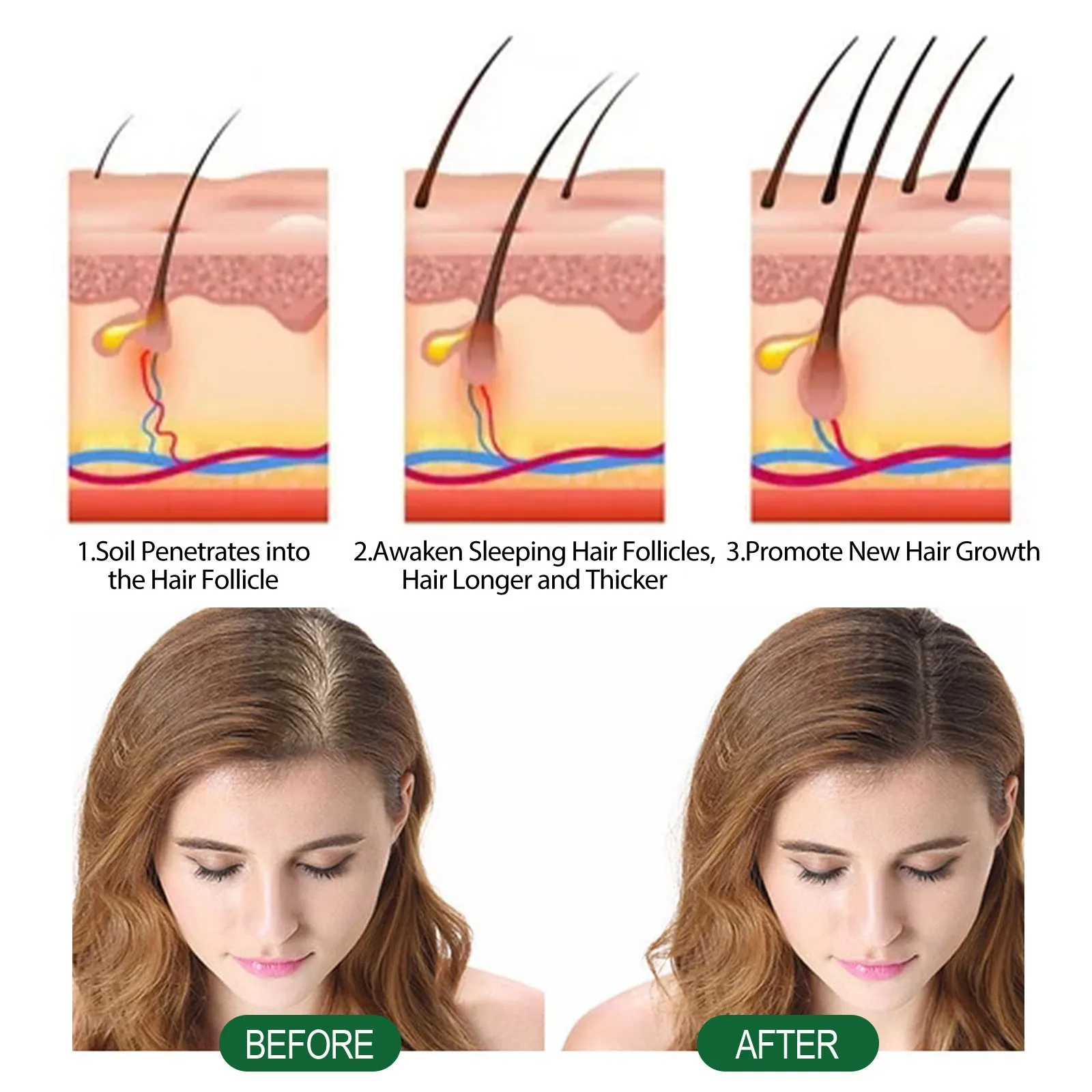 شامبو إكليل الجبل