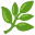 🌿