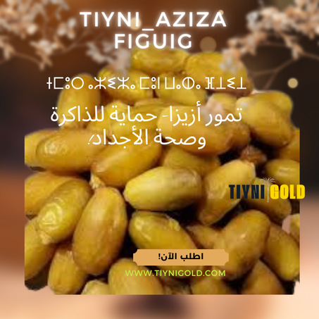 تمور أزيزا – الجودة الأولى | Première Qualité