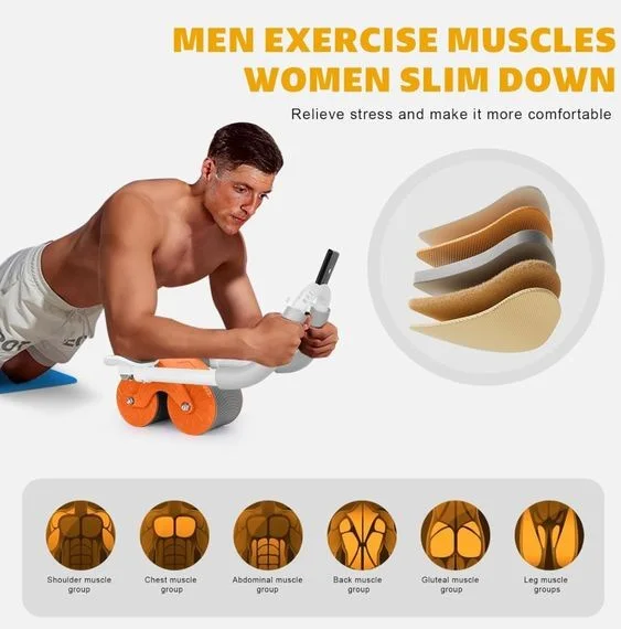 عجلة تمارين البطن