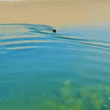 قارب يتم التحكم فيه عن بعد مع مصباح LED