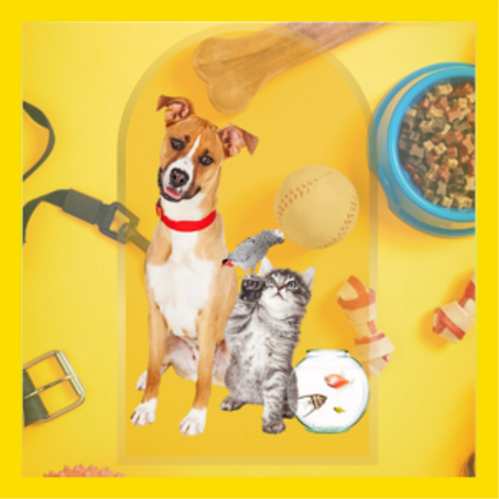 Accesorios para mascotas