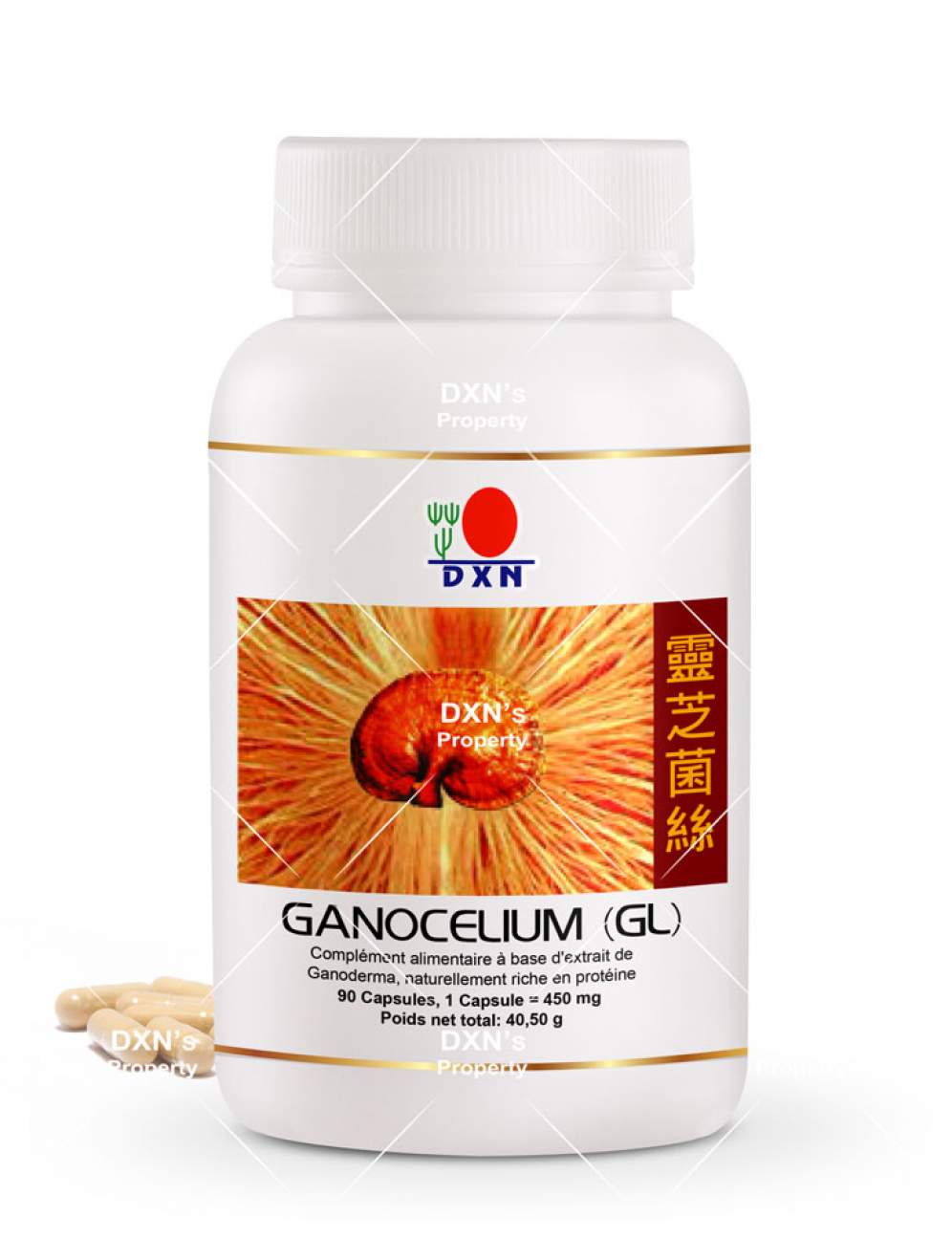 Champignon Reishi GL 90 الفطر الريشي