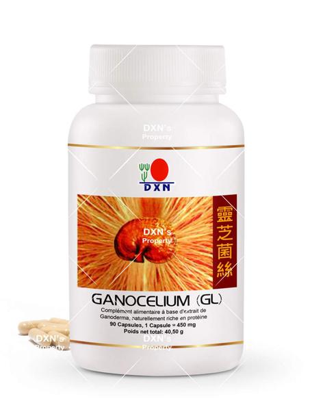 Champignon Reishi GL 90 الفطر الريشي