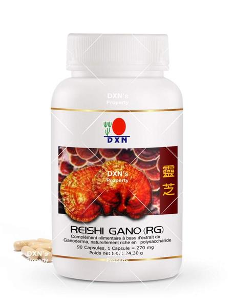 Champignon Reishi RG 90 فطر الريشي
