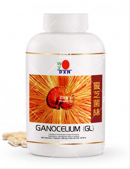 Champignon Reishi GL 360 الفطر الريشي