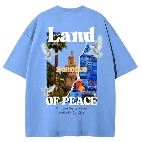 SKY BLUE T-SHIRT 