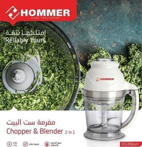 Hommer Mélangeur et hachoir 2 en 1 de 250 watts