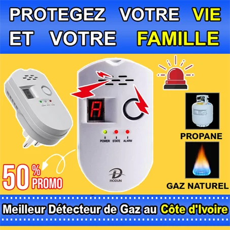 Détecteur de Gaz Intelligent