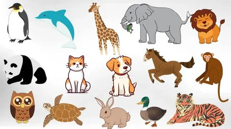 اكسسورات الحيونات