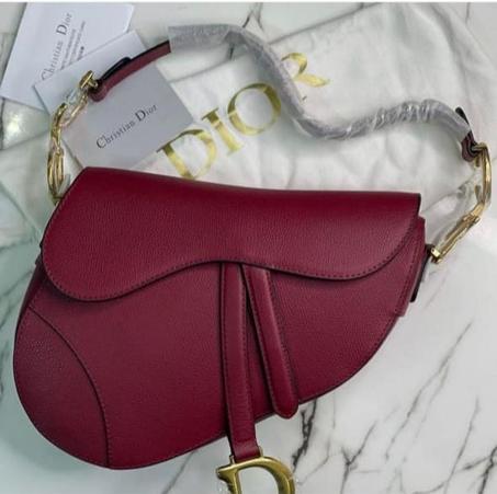 DIOR SADDLE BAG