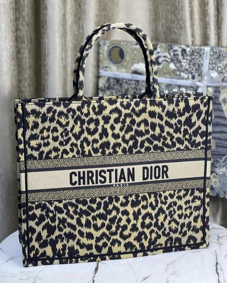 big DIOR BAG