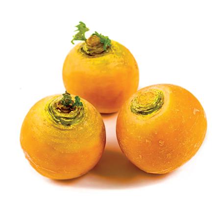 NAVET JAUNE