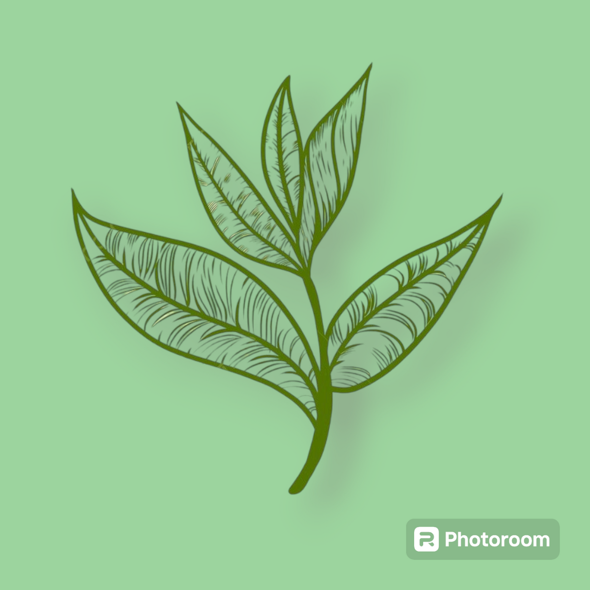TEA TREE
