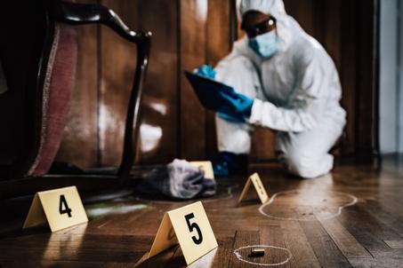 القضايا الجنائية