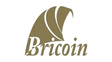 BRICOIN