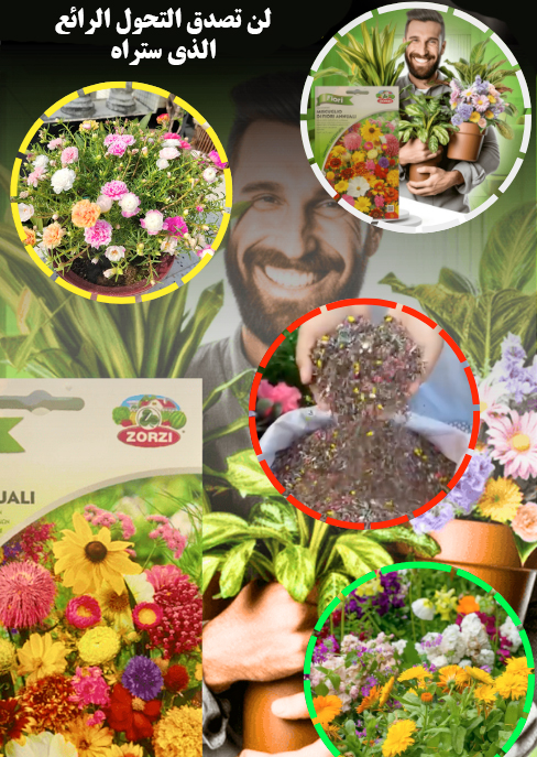 بذور زهور الحديقة الساحرة