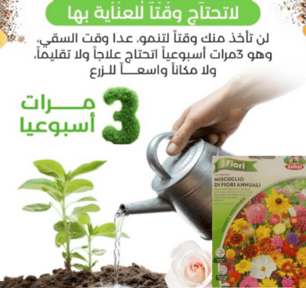 بذور زهور الحديقة الساحرة
