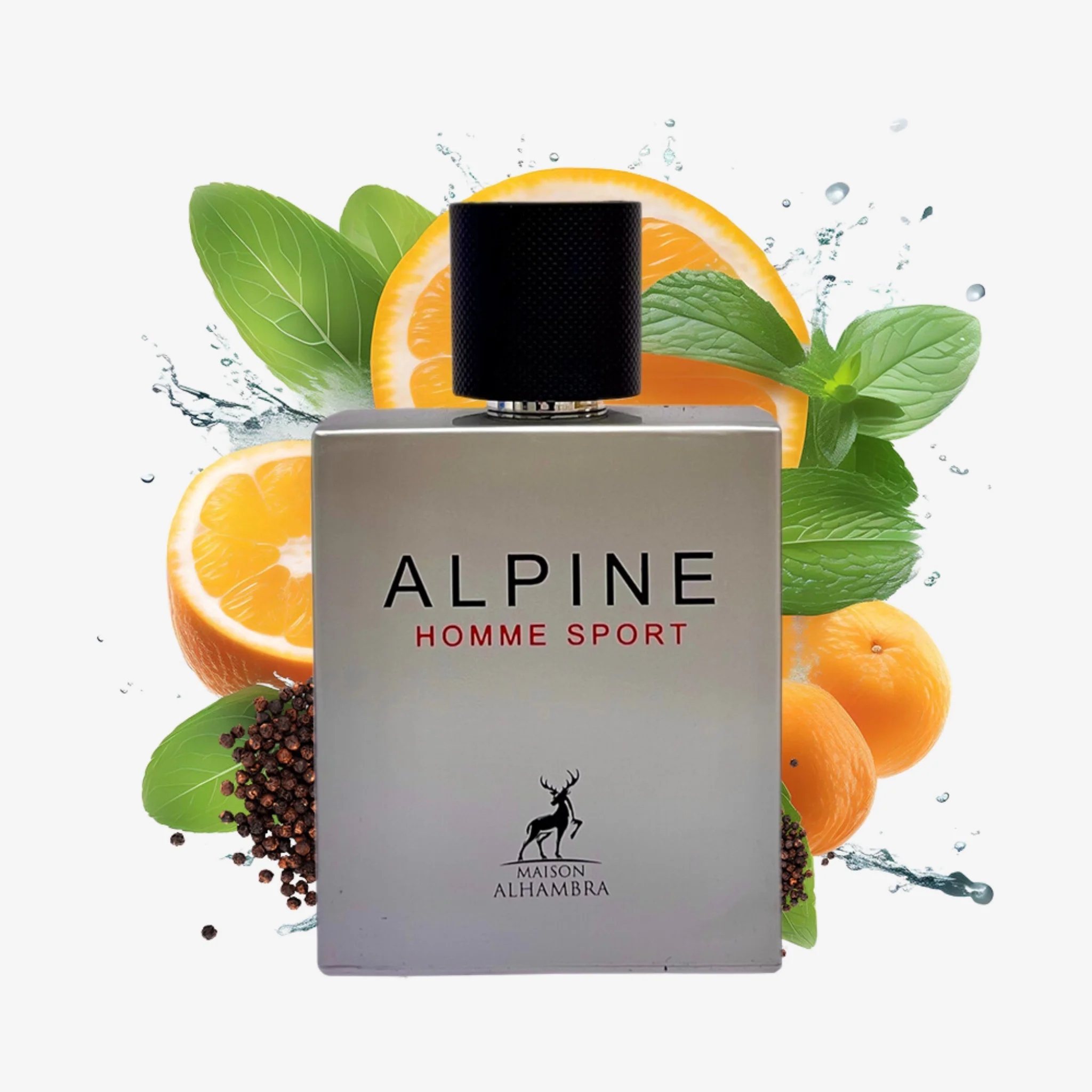 ALPINE HOMME SPORT