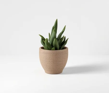 ديكورات واكسسوارات البيت والحديقة