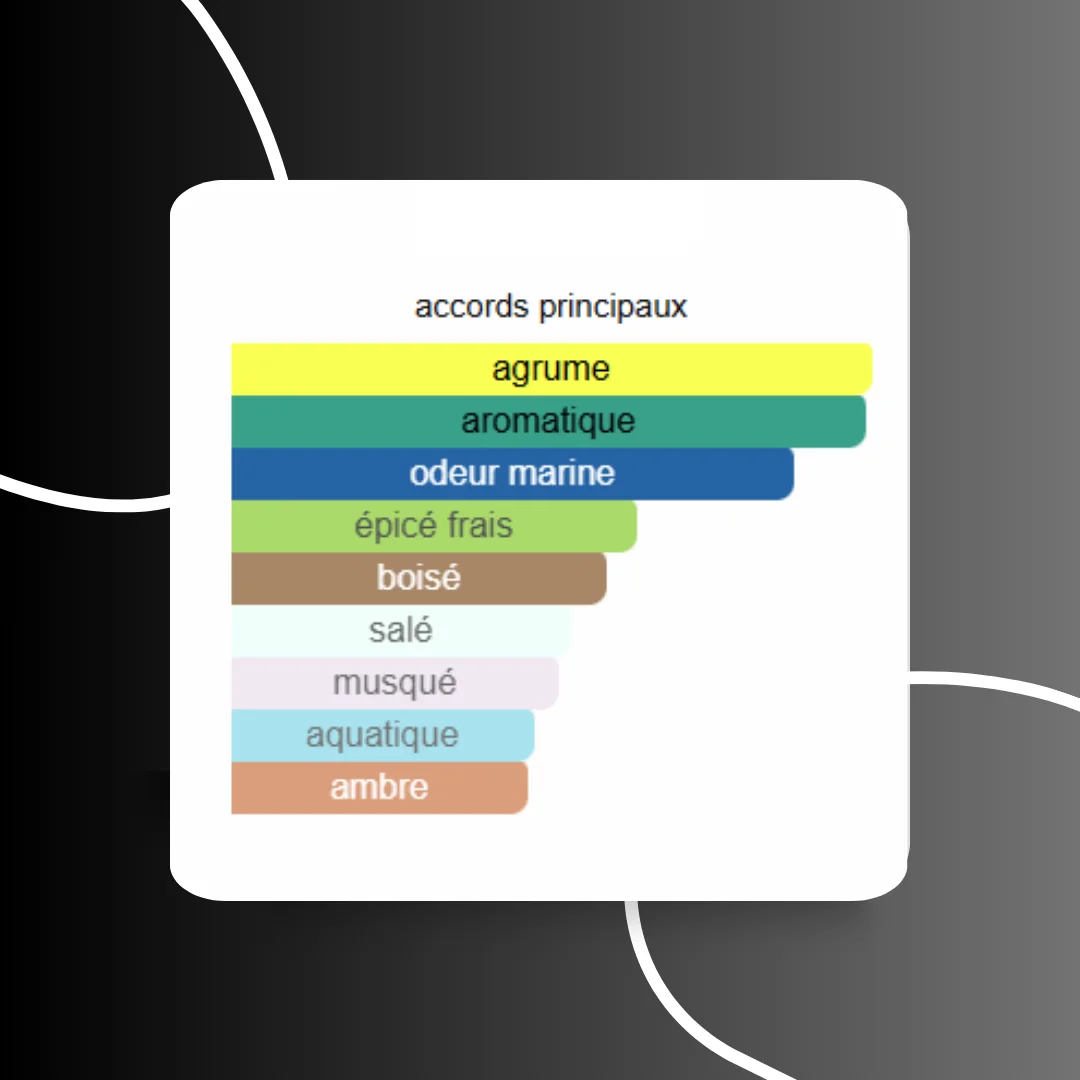 Light Blue Intense - D&G