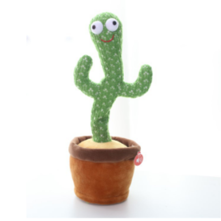 Twist Dancing Cactus
