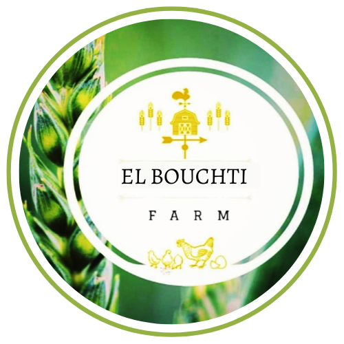 elbouchti